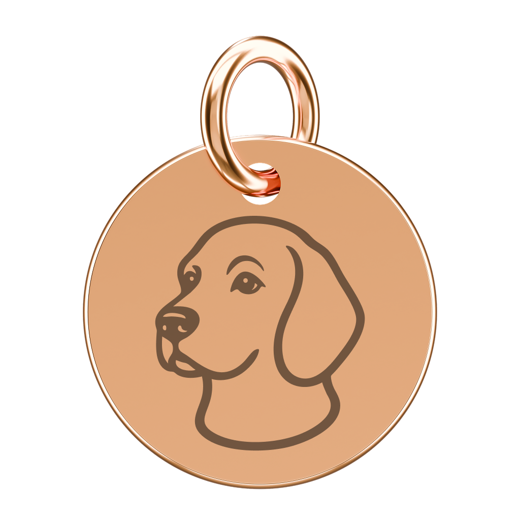 Pozłacana zawieszka do naszyjnika z beaglem (grawer)