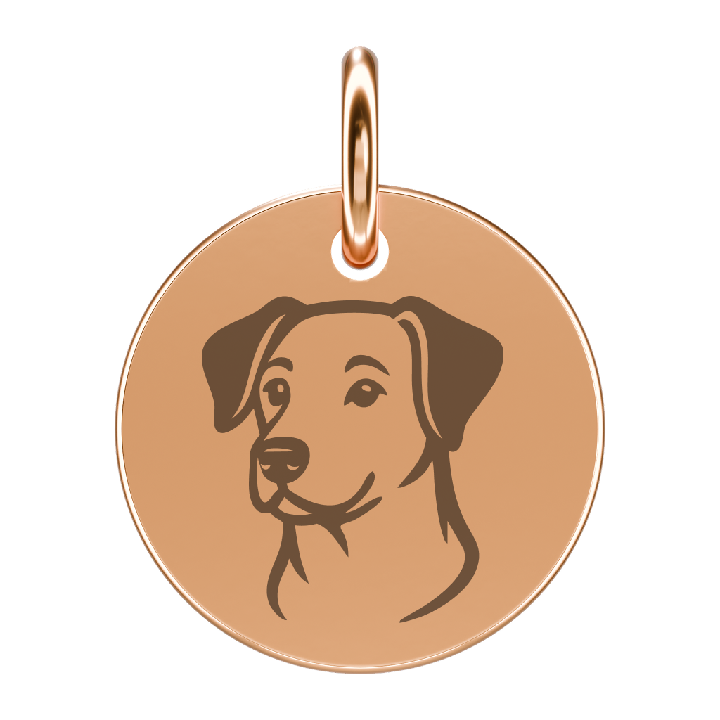 Pozłacana zawieszka z kundelkiem (grawer)