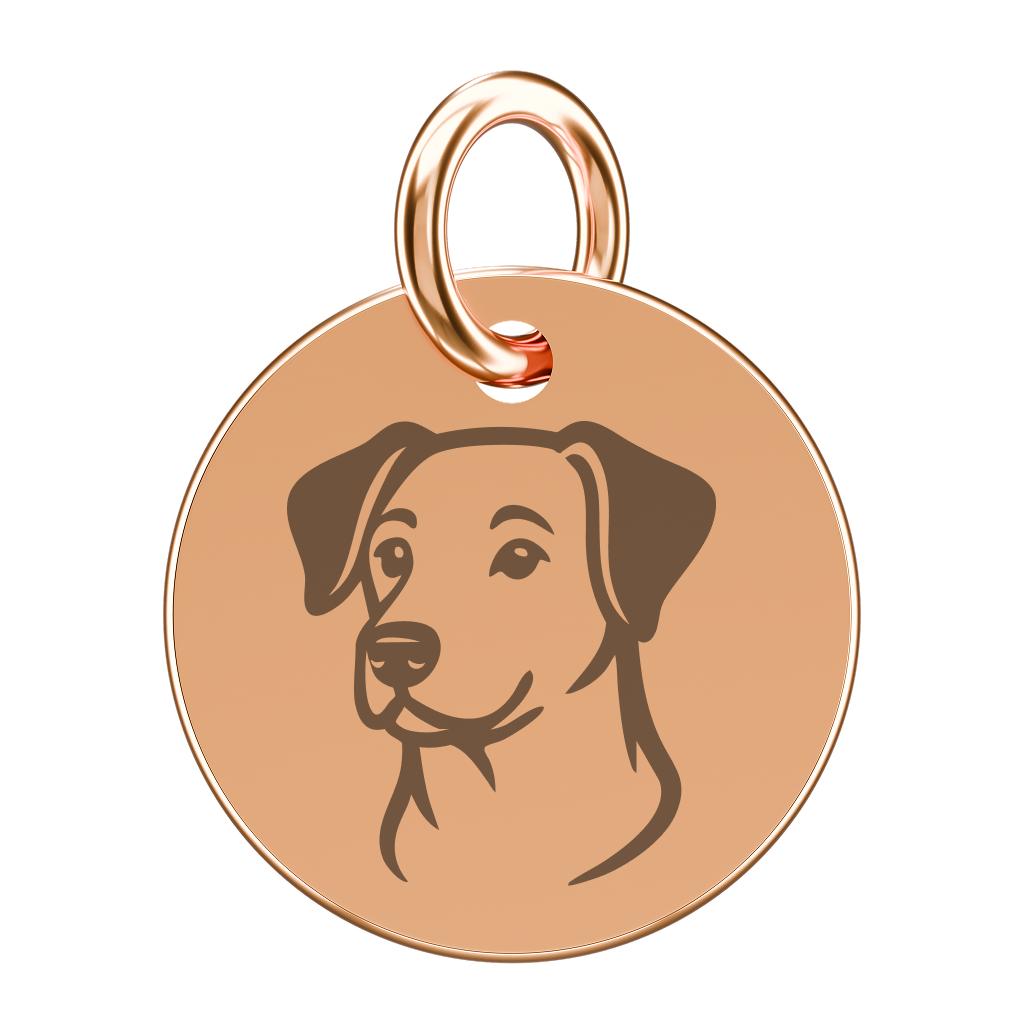 Pozłacana zawieszka do naszyjnika z kundelkiem (grawer)