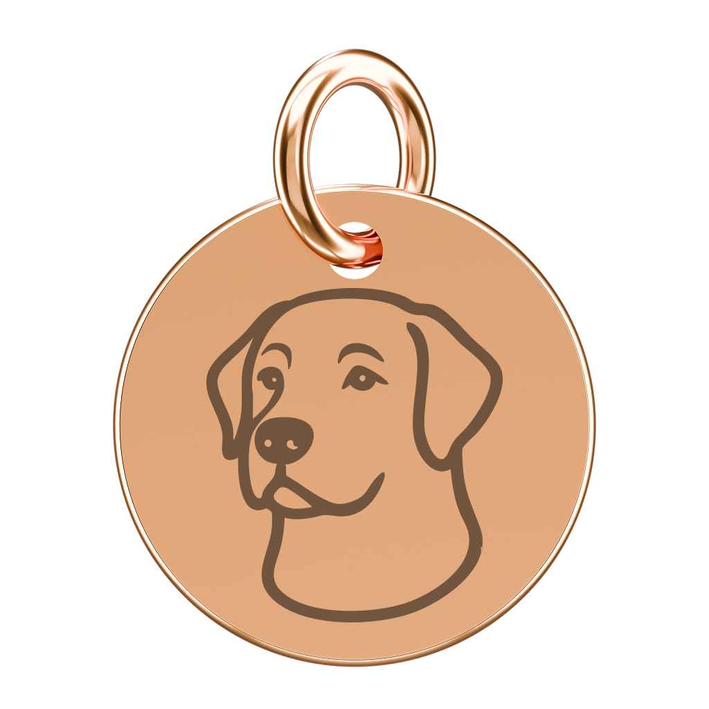 Pozłacana zawieszka do naszyjnika z labradorem (grawer)