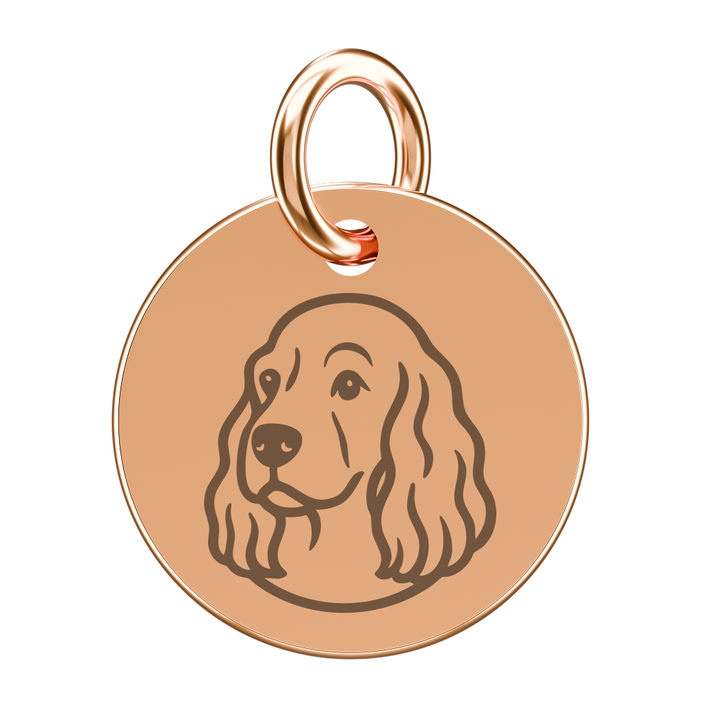 Pozłacana zawieszka do naszyjnika ze spanielem (grawer)